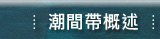 潮間帶概述