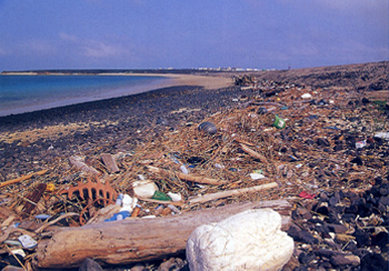 沙灘上的海拋垃圾